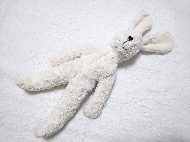 認知症患者が赤ちゃんの人形を持っている理由